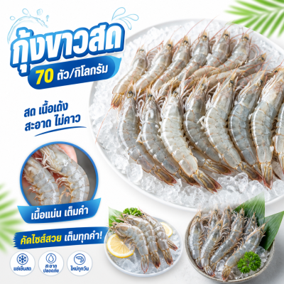 กุ้งขาว – ไซส์ S70