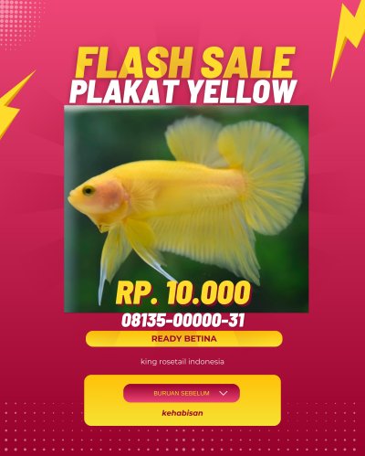 Plakat Yellow (cupang promo)