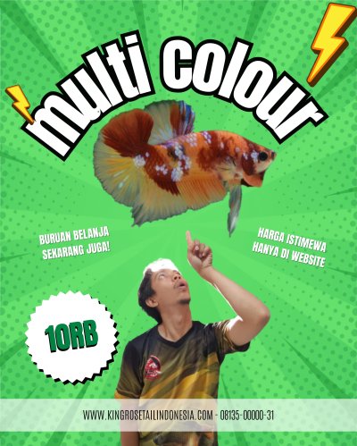 cupang Multicolor