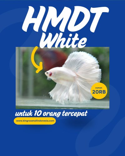 HMDT White