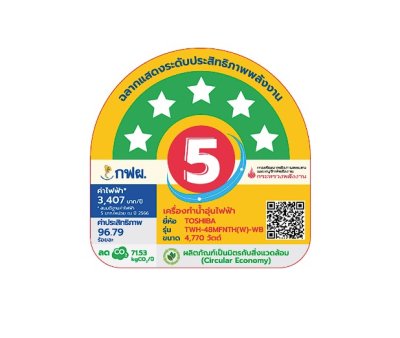 TOSHIBA Water Heater, Model TWH-48EFNTH(W)-CB, 4,800 Watts