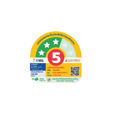 TOSHIBA Digital Water Heater, Model TWH-38EXNTH(T), 3,800 Watts