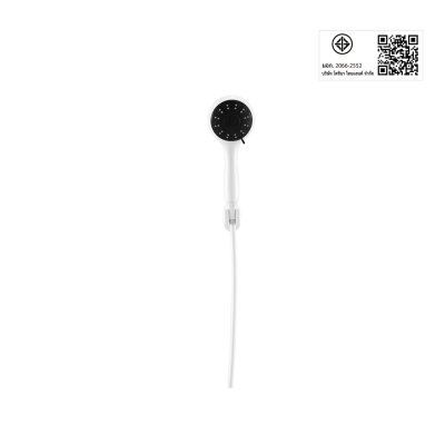 TOSHIBA Water Heater, Model TWH-38WTH(W), 3,800 Watts