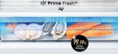 PANASONIC  ตู้เย็นแบบช่องแช่แข็งอยู่ด้านล่าง 2 ประตู รุ่น NR-BX471WGWT