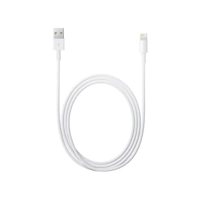 Apple Lightning to USB Cable (2M) ITS