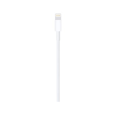 Apple Lightning to USB Cable (1m)