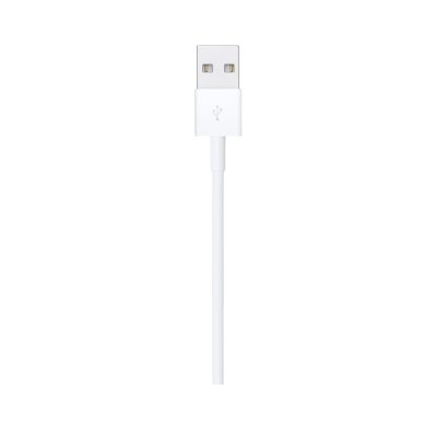 Apple Lightning to USB Cable (1m)
