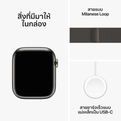 Apple Watch Series 9 GPS + Cellular 45mm Graphite Stainless Steel Case with Graphite Milanese Loop