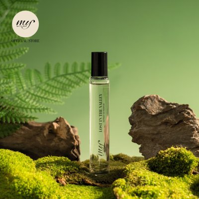 Lost in the valley Lost in the valley