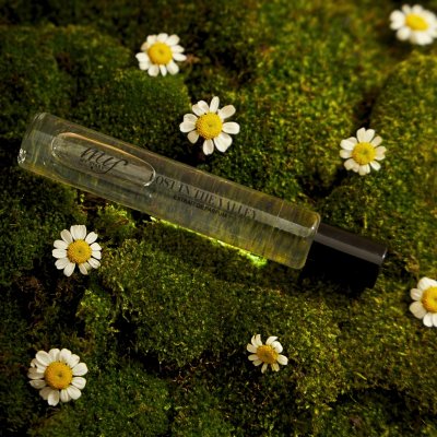 Lost in the valley Lost in the valley