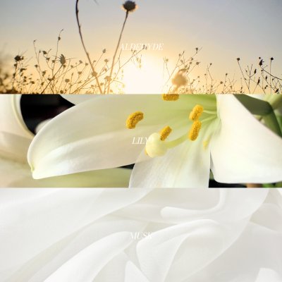 Lost in the valley Lost in the valley