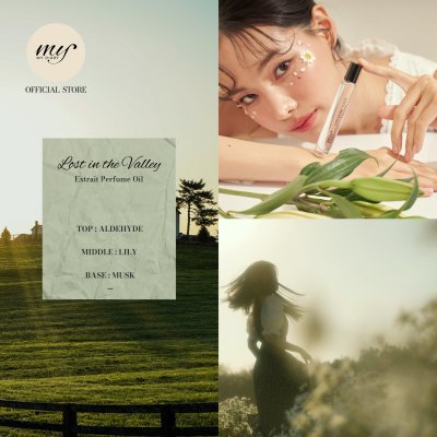 Lost in the valley Lost in the valley