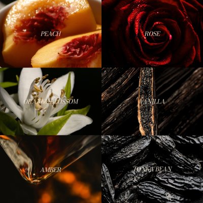 Peach & Prestige