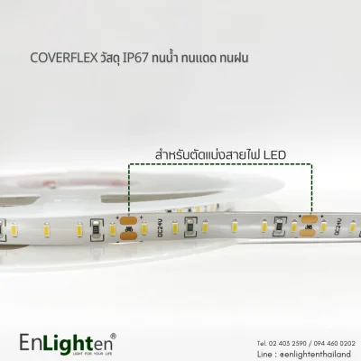 ไฟริบบิ้น LED STRIP LIGHT COVERFLEX 3014 14.4W/M 24V IP65