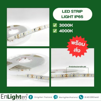 ไฟริบบิ้น LED STRIP LIGHT COVERFLEX 3014 14.4W/M 24V IP65