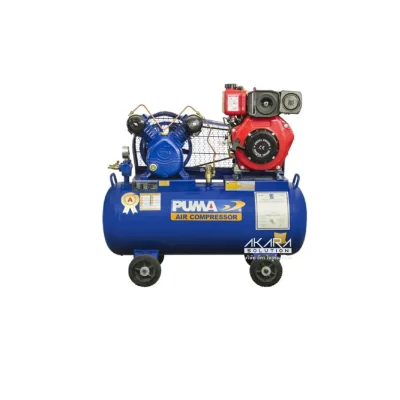 ปั๊มลมพูม่า 1 แรงม้า ติดเครื่องยนต์ Diesel รุ่น TPU-10D