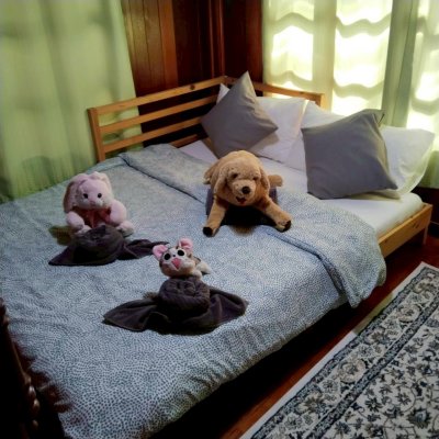 Aran Hostel & Cafe