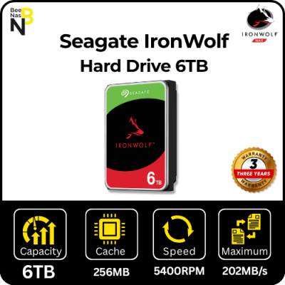 Seagate Ironwolf 6TB