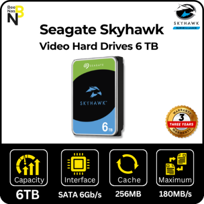 Seagate SkyHawk 6TB
