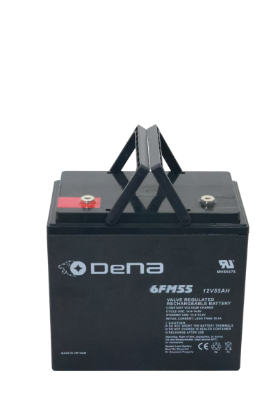 DeNA 6FM55