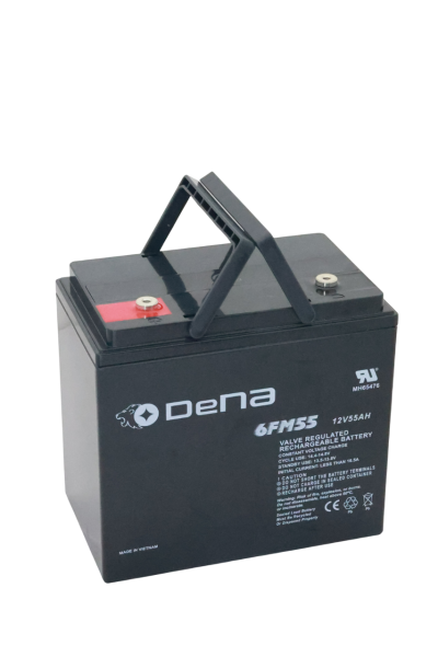 DeNA 6FM55