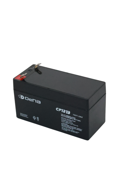 DeNA CP1213