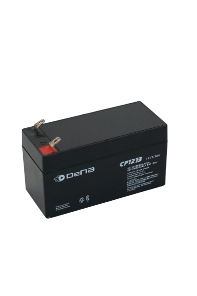 DeNA CP1213