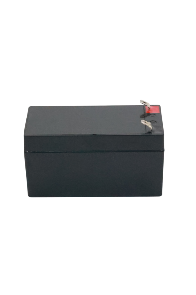 DeNA CP1213