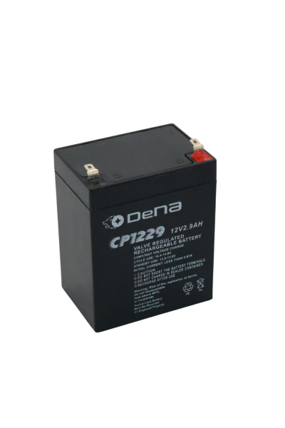 DeNA CP1229