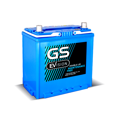 GS-EVS143
