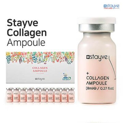 Stayve Collagen Ampoule