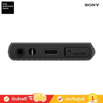 Sony NW-A306 - Walkman A Series