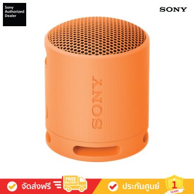 Sony SRS-XB100 - ลำโพงไร้สายแบบพกพา