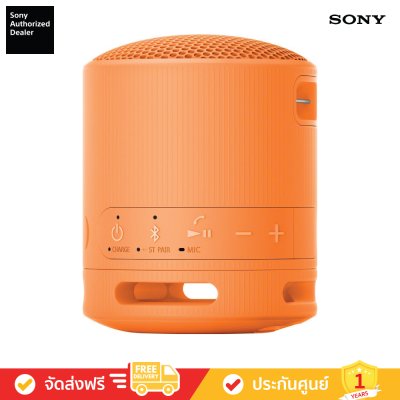 Sony SRS-XB100 - ลำโพงไร้สายแบบพกพา