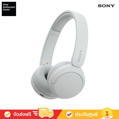 Sony WH-CH520 - Wireless Headphones with Microphone