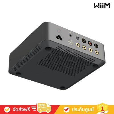 WiiM Vibelink Amp