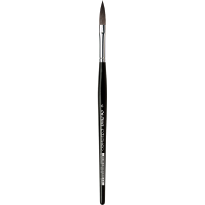 da vinci brush : VA-898 Casaneo Synthetic Oval