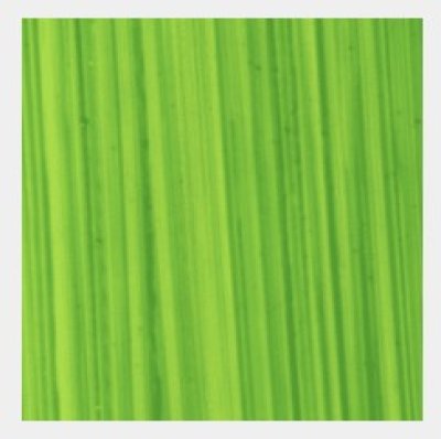 Michael Harding Oil Paint : 116 Bright Green Lake