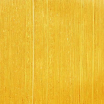 Michael Harding Oil Paint : 235 Turners Yellow