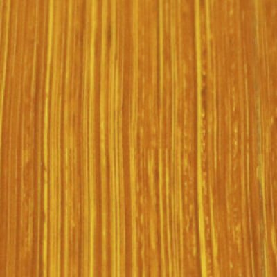 Michael Harding Oil Paint : 244 New Gamboge