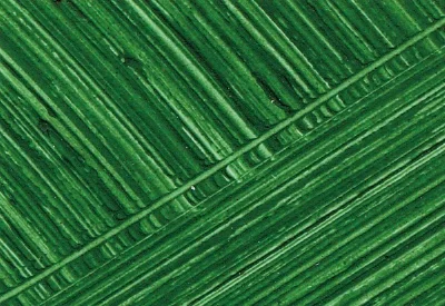 Williamsburg Oil Paints : Italian Terra Verte