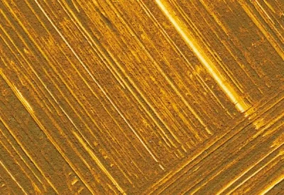 Williamsburg Oil Paints : Italian Raw Sienna