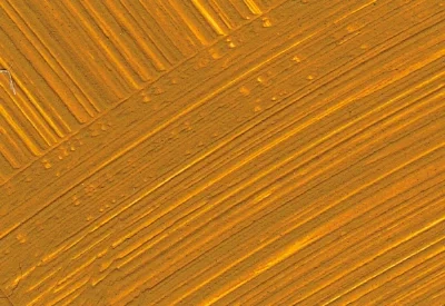 Williamsburg Oil Paints : French Yellow Ochre Deep