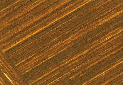 Williamsburg Oil Paints : French Raw Sienna