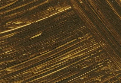 Williamsburg Oil Paints : French Raw Umber