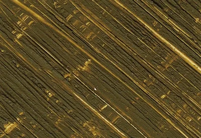 Williamsburg Oil Paints : French Light Sienna