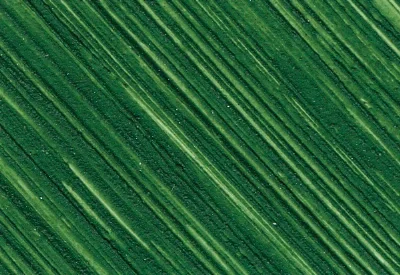 Williamsburg Oil Paints : French Terre Verte