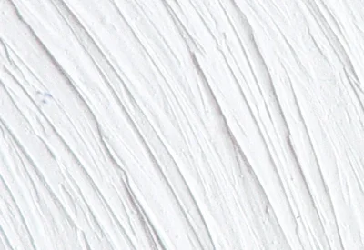 Williamsburg oil paints : Titanium White