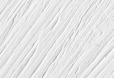 Williamsburg Oil Paints : Zinc White