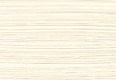 Williamsburg Oil Paints : Titan Buff